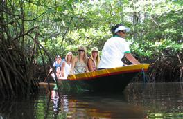 mangrove tour in lembongan island mangrove tour in lembongan island, lembongan fast boat, nusa lembongan, lembongan beach